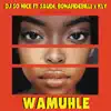 Wamuhle (feat. BonafideBilli) - Single album lyrics, reviews, download