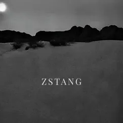 I'll Do the Same - Single by ZSTANG album reviews, ratings, credits