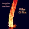 Pillar of Fire - Single album lyrics, reviews, download
