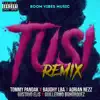 Tusi (Remix) song lyrics