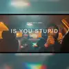 is u stupid? (feat. DoubleO) - Single album lyrics, reviews, download