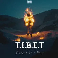 T.I.B.E.T (feat. Ngale & Tnammy) Song Lyrics