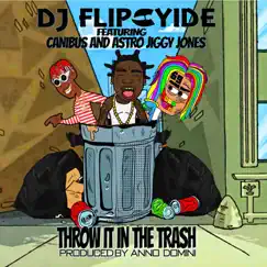 Throw It in the Trash (feat. Canibus & Astro Jiggy Jones) - Single by Dj Flipcyide album reviews, ratings, credits