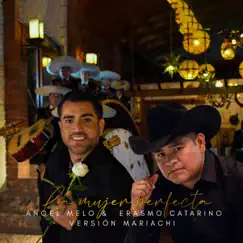 La Mujer Perfecta (feat. Erasmo Catarino) Song Lyrics