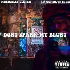 DONT SPARK MY BLUNT (feat. Krashoutkiddo) Song Lyrics