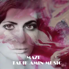 Maze - Single by TARIK AMIN MUSIC album reviews, ratings, credits