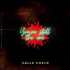You're Still the One - Single by Calle Ameln album reviews, ratings, credits