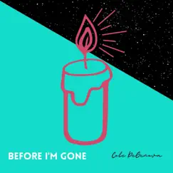 Before I'm Gone Song Lyrics