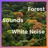 Forest Sounds & White Noise, Loopable album lyrics, reviews, download