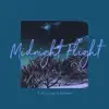 Midnight Flight - Single album lyrics, reviews, download
