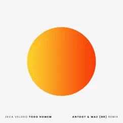 Todo Homem (Antdot & Maz (BR) Remix) - Single by Zeca Veloso album reviews, ratings, credits