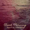 Flood Warning - Single album lyrics, reviews, download