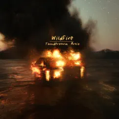 Wildfire Song Lyrics