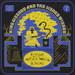 Flying Microtonal Banana by King Gizzard & The Lizard Wizard album reviews, ratings, credits