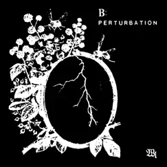 Masturbation Song Lyrics