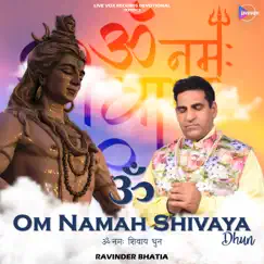 OM NAMAH SHIVAYA DHUN (feat. RAVINDER BHATIA) - EP by LL Beats album reviews, ratings, credits