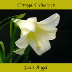 Preludio 18 - Single by Jesús Ángel album reviews, ratings, credits