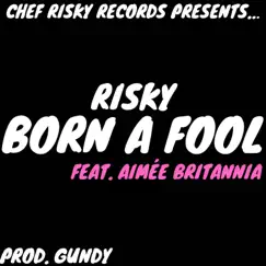Born a Fool (feat. Aimée Britannia) - Single by Risky album reviews, ratings, credits