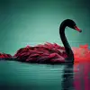 Red Swan - Single album lyrics, reviews, download