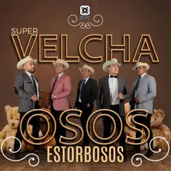 Osos Estorbosos - Single by Velcha album reviews, ratings, credits