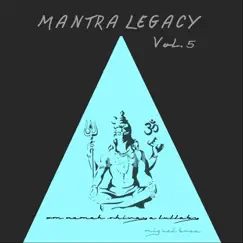 Om Nama Shivaya Lullaby: Mantra Legacy, Vol. 5 (feat. Ana Botero) - Single by Miguel Brea album reviews, ratings, credits