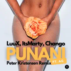 P****i (feat. AG) [Peter Kristensen Remix ] - Single by LuuX, ItsMarty & Chango album reviews, ratings, credits