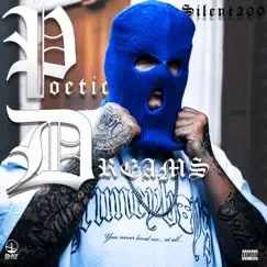 Poetic Dreams - Single by Silent200 album reviews, ratings, credits