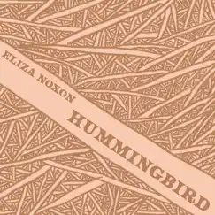 Hummingbird - Single by Miss E album reviews, ratings, credits