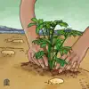 Planting Seeds - Single album lyrics, reviews, download