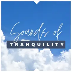 Sounds of Tranquility by Ambient Music Collective, Meditation Guru & Meditation Music Therapy album reviews, ratings, credits