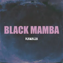 Black Mamba - Single by Kamalia album reviews, ratings, credits