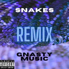 Snakes (feat. Kid Loquacious) [Remix] [Remix] - Single by Gnasty Music album reviews, ratings, credits
