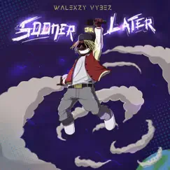 Sooner Or Later - Single by Walexzy Vybez album reviews, ratings, credits