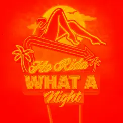 What A Night (Remixes) - EP by Flo Rida album reviews, ratings, credits