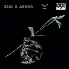 Firewake - Single by Zeal & Ardor album reviews, ratings, credits
