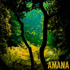 Amana Song Lyrics