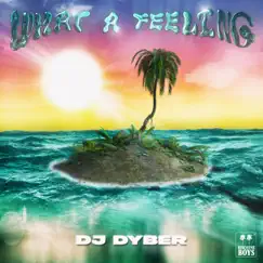 What a Feeling - Single by DJ Dyber album reviews, ratings, credits