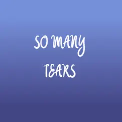 So Many Tears (feat. Silent Beatz) Song Lyrics