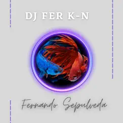 Reborn From Silence - Single by DJ FER K-N album reviews, ratings, credits