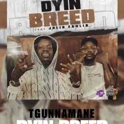Dyin Breed (feat. Foolio) - Single by Tgunnamane album reviews, ratings, credits