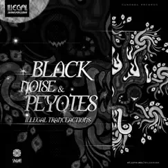 Illegal Transactions by Black Noise album reviews, ratings, credits