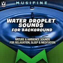 Water Droplet Sounds for Background (Nature & Ambience Sounds for Relaxation, Sleep & Meditation) Song Lyrics