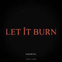 Let It Burn - Single by C4 Dvus album reviews, ratings, credits