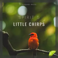 Serene Bird Sounds Song Lyrics