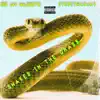 Snakes in the Grass (feat. Streetmanjay) - Single album lyrics, reviews, download