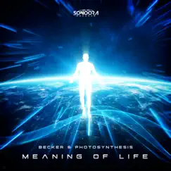 Meaning of Life - Single by Becker & Photosynthesis album reviews, ratings, credits