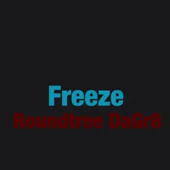 Freeze - Single by Roundtree DaGr8 album reviews, ratings, credits