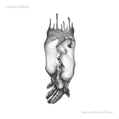 January Came Close by Cardinal Black album reviews, ratings, credits