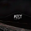 Mist (Instrumental) [feat. Камиль Скрипка & Тимур Басов] - Single album lyrics, reviews, download