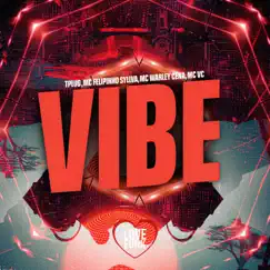 Vibe Song Lyrics